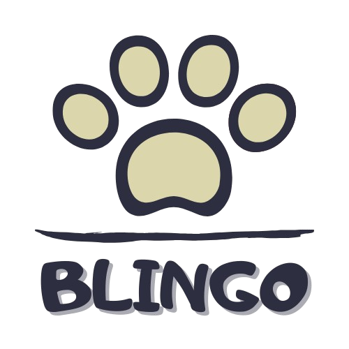 BLINGO
